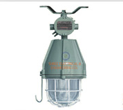 Flameproof J Hook Light Fixture
