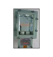 Flameproof Bulk Head Light Fixture