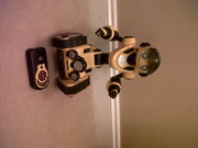 WooWee Talking Remote Control Robot