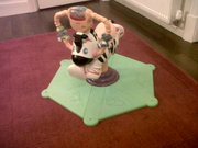 Fisher Price Bounce & Spin Zebra