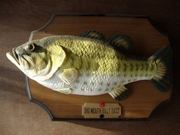 Big mouth Billy Bass