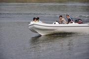 Canoes,  dinghty,  fishing boat,  motor boat, sport boat 4.3m CE