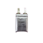 Fast Charging Lithium Polymer Rechargeable Battery