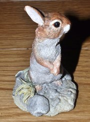 Border Fine Arts rabbit