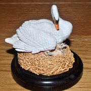 Country Artists Swan