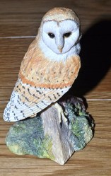 Barn Owl