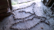 SOLID STEEL LONG, STRONG SHARP SPIKED CHAIN FOR SECURITY JOBS