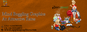 Get the most exciting graphics with the Appnographics