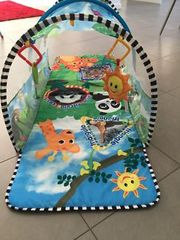 Bright starts baby Einstein tunnel of fun