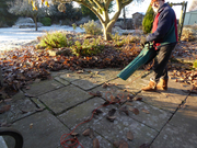 Bosh leaf blower