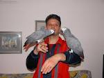 2 Talkative African Grey Parrots 