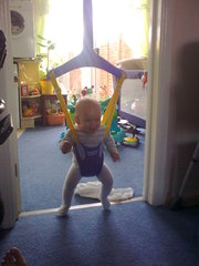 lindam baby bouncer 