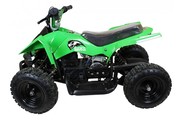 Amazing Deals on Peg Perego Quad Bikes