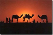 Rajasthan Tour Packages
