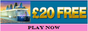 Free bingo games               