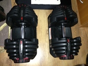Bowflex 1090 Dumbbells