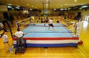Muay thai traning brooklyn ny Social Bookmarking