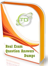Testbells Online Study