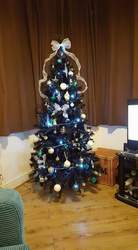 Christmas tree for sale