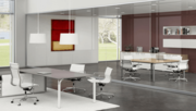 Single Glazed Frameless Glass Office Partitions 