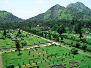 BigWig Tourism | South India Tour Packages | Kerala | Tamilnadu | Holi