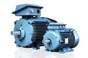 standard low voltage motor