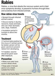 Rabies Vaccine Leeds