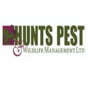 Pest Control Huntingdon