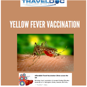 Buy Yellow fever vaccine in Nottingham